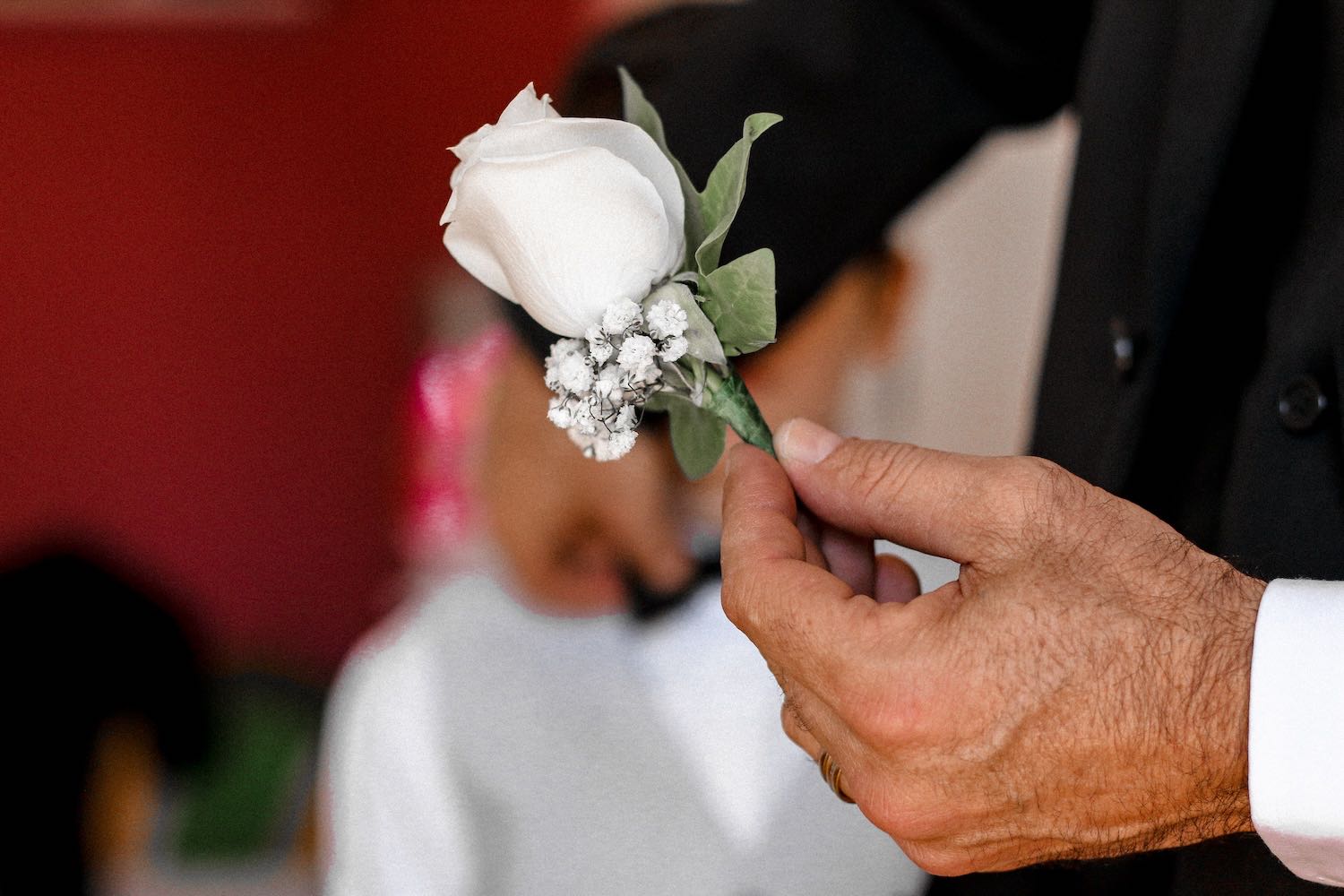 Fotografía bodas Vitruvi