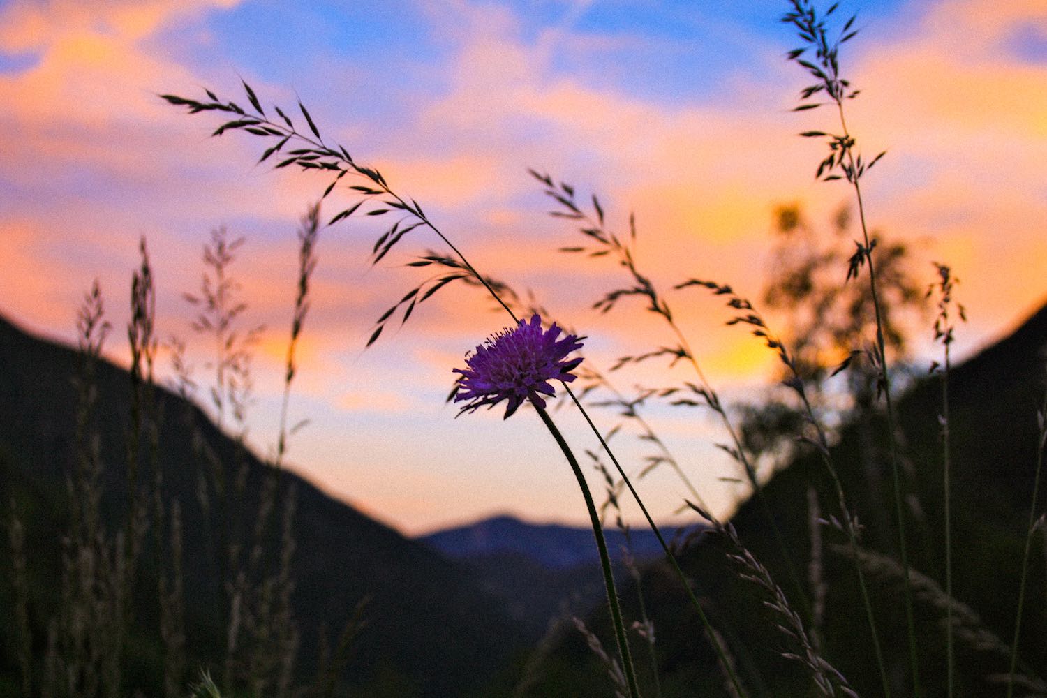 Fotografía paisajes Vitruvi